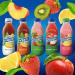 Snapple Lot de 6 bouteilles en plastique de 473 ml la p che 473 ml - Buy Online on GoSupps.com
