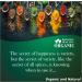 Blessfull Healing Organic Thyme Seasoning Powder 200 Gram (Packing May Vary) 200 Gram 7.05 oz - Buy Online on GoSupps.com