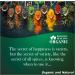 Blessfull Healing Organic All Spice Powder 200 Gram (Packing May Vary) 200 Gram 7.05 oz - Buy Online on GoSupps.com