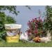Buy Manna Pro Ultimate Scratch Chicken Feed - Nutrient Rich Treats, 10 LB - Buy Online on GoSupps.com