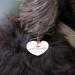 Exclusive Soulhorse Rose Gold Bridle Pendant Lucky Charm for Horses Ponies and Dogs | Cuddlybacche Trailer Halter - Buy Online on GoSupps.com