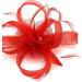 Ladies Feather Beak Clip Fascinator Weddings Races Royal Ascot Hair Piece Clip Red - Buy Online on GoSupps.com