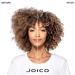 Joico Curls Like Us Define & Seal Curl Defining Gelee for Curly Hair - Reduce Frizz Medium Hold Heat Protection Moringa Seed & Algae Oil - 8.5 Fl Oz - Buy Online on GoSupps.com