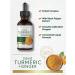 Carlyle Liquid Turmeric and Ginger Supplement 2 fl oz | Vegan | Non-GMO | Gluten Free - Buy Online on GoSupps.com