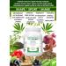 VitaHemp+ Power Blend Workout Drink |Vegan Hemp Seed Protein Shake Powder with Phyto-nutrients Essential Amino Acids Vitamin C & Fibre. Appetite Suppressant Reduces Bloating & Flatulence - Buy Online on GoSupps.com