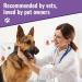 Canine Matrix Healthy Pet Mushroom Powder 7.1 oz - Natural Dog Supplement for Wellness - Buy Online on GoSupps.com