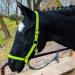 Halter for horse warmblood thoroughbred cold blood - stable halter pasture 2 compartment adjustable to chin straps and neck pieces safe & tear -resistant (light green cold blood) light green cold blood