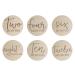 Little Pear Wooden Milestone Photo Cards - Double Sided Monthly Prop Discs for Baby Announcement & Pregnancy Journey - Natural Wood Milestone Markers - Buy Online on GoSupps.com