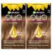 Garnier Hair Color Olia Ammonia-Free Brilliant Color Oil-Rich Permanent Hair Dye 7.0 Dark Blonde 2 Count (Packaging May Vary)