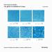 Buy Hemway Ultra-Shine Ocean Blue Extra Chunky Glitter 100g - Perfect for Crafting & Decorating | International Shipping Available - Buy Online on GoSupps.com