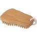 Redecker Natural Pig Bristle Foot Brush - Oiled Beechwood Handle - 5-1/4 Inches - Buy Online on GoSupps.com