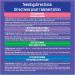 Friskies Greatest Hits Wet Cat Food Pate Variety Pack 4 Flavours - 156 g Can (32 Pack) Greatest Hits Cat Food - Buy Online on GoSupps.com