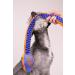 Nerf Dog Durable Toy 30 Tug Squeaking Football - Blue/Orange | Lightweight, Non-Toxic, BPA-Free - Buy Online on GoSupps.com