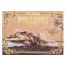 Prelude Exposed Eyeshadow Palette - Stunning Shades for Bold Looks - Buy Online on GoSupps.com