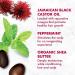 SheaMoisture Jamaican Black Castor Oil Treatment Masque - 11.5oz - Buy Online on GoSupps.com