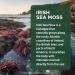 SMARTERNUTRITION Sea Moss Multimineral with Irish Sea Moss with Ashwagandha Bladderwrack Turmeric Zinc Vitamin C Elderberry Dandelion - Non-GMO, USA Manufactured - 60 Capsules 30 Day Supply  - Buy Online on GoSupps.com