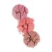 RealHer Everyday Blush Kit: Shimmers, Bronzer, Highlighting Cheek Color - Brighten & Glow for All Skin Tones - Buy Online on GoSupps.com