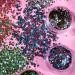 Buy Mystics Eco-Glitter - 100% Biodegradable Organic Glitter for Face Body Nails & Hair - 3G Box Set from Moon Glitter - Buy Online on GoSupps.com