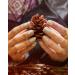 Gelish 15ml Gel Fall 2023 (Dew Me A Favor) - Buy Online on GoSupps.com