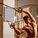 Buy Clean Sports Ceiling Holder for Boxing Bags & Sling Trainers - 400kg Stainless Steel Bracket with Carabiner Hook - International Shipping Available - Buy Online on GoSupps.com