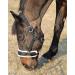 T TEKE Lunge Cavesson - Black Full Size with Fleece Lined Nose Band - Buy Online on GoSupps.com