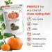 Superseedz Raw Pumpkin Seeds (Pepitas) No Shell 12 oz - Whole 30, Paleo, Vegan & Keto Friendly - 9g Plant Based Protein - Made In USA - Nut Free - Gluten Free Snack - Buy Online on GoSupps.com