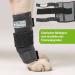 NATURE PET Dog Carpal Splint/Dog Carpal Joint Protection Splint/Dog Support Brace Carpolock Medium Grey - XL - Buy Online on GoSupps.com