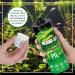 Microbe-Lift Plants P - 118 ml | Nitrate-Free Phosphate Fertilizer for Lush Freshwater Aquariums & Aquascaping - Buy Online on GoSupps.com