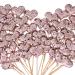 60Pieces Heart Cupcake Toppers Champagne Valentines Day Cupcake Toppers Decorations Double Colors Heart Shaped Cupcake Cake Decorations for Valentine Wedding Party Mother's Day