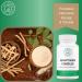2nd Springs Mushroom & Adaptogen Fusion - Comprehensive Wellness Bundle - Buy Online on GoSupps.com