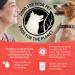 Purina Beyond Grain-Free Natural Beef & Green Bean Wet Dog Food - (12) 13 oz. Cans - Buy Online on GoSupps.com