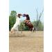 Horsemen's 10 Jolly Ball Horse Toy - Durable & Fun Equine Play! - Buy Online on GoSupps.com