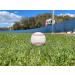 Blank Leather Baseball for Autographs, Crafts & Souvenirs | Regulation Size & Weight, Quality Stitching - Perfect for Custom Gifts & Youth Play - Buy Online on GoSupps.com