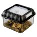 Exo Terra Breeding Box incubator stackable breeding terrarium S 20.5 x 20.5 x 15cm