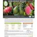 CULTIVERS Organic Tropical Tree Fertilizer 5kg | Ideal for Avocado Mango Lychee Pitahaya Papaya Guava - Best eCommerce Choice - Buy Online on GoSupps.com