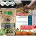 100 gr Cardamome en Gousse BIO Cardamome Enti re Puissant Riche Caf Chai Masala - NAB R - Buy Online on GoSupps.com