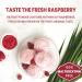 Jungle Powders Raspberry Powder 3.5oz - Unsweetened Freeze Dried Raspberries - GMO Free Red Superfood Extract for Baking - Buy Online on GoSupps.com