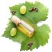 Petal Fresh Moisturizing Conditioner with Grape Seed & Olive Oil - 16 fl oz - Buy Online on GoSupps.com