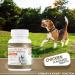 KOBE S Probiotics for Dogs | Digestive Enzyme | UTI Antibiotic | Boosts Immune System | Supports Overall Health | Dog Yeast & Diarrhea Treatment - Buy Online on GoSupps.com