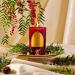 Saint Nicholas Scented Candle - Prayer Coin & Holy Oil - Generosity Aromatherapy - 80 Hour Burn - Special Edition Red Fir - Buy Online on GoSupps.com