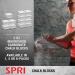 SPRI Chalk Block & Chalk Ball 2 oz (8-Pack) for Gymnastics, Climbing, Weightlifting & Billiards - Buy Online on GoSupps.com