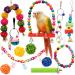 Youngever 12 Packs Bird Swing Toy, Parrot Toys Hanging Bell, Bird Cage Toys for Parrots, Finches, Macaws, Cockatiels