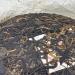 Pu-erh tea 2006 Xishuangbanna Yi Wu wild green cake 400g Raw - Buy Online on GoSupps.com