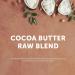 Cantu Skin Therapy Hydrating Raw Blends Body Butter - 5.5 oz - Cocoa Butter, Shea Butter, Coconut Oil - Buy Online on GoSupps.com