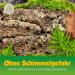 Cork Bark (Rodent Reptile Decoration Modelling Model Railway Scenery) cork wood tree oak (3 pcs.) - Buy Online on GoSupps.com