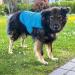 Nobby 30 cm Dog Cooling Jacket - Ultra-Light Eva Fabric Water-Activated Ice Vest for Small Dogs - Buy Online on GoSupps.com