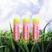 Leaping Bunny Plum Apricot Lip Balm 4.2g | Cruelty-Free Organic & Moisturizing | International Shipping - Buy Online on GoSupps.com
