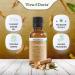 Viva Doria 100% Pure Ginger Essential Oil - Undiluted Food Grade - 1 oz (30 mL) - International Shipping Available - Buy Online on GoSupps.com