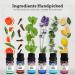 GuruNanda 100% Natural Essential Oil Blends Set - Aromatherapy for Diffusers - Breathe Easy, Tranquility, Harmony, Sleep, Relaxation, Immunity - 0.33 Fl Oz (Pack of 6) - Buy Online on GoSupps.com