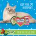 Dr. Seuss The Grinch Catnip Cat Toys 3 Pack - Small Catnip Infused Toys from The Grinch Who Stole Christmas Collection - 4 Inch Canvas Cat Toy for Cats - Buy Online on GoSupps.com